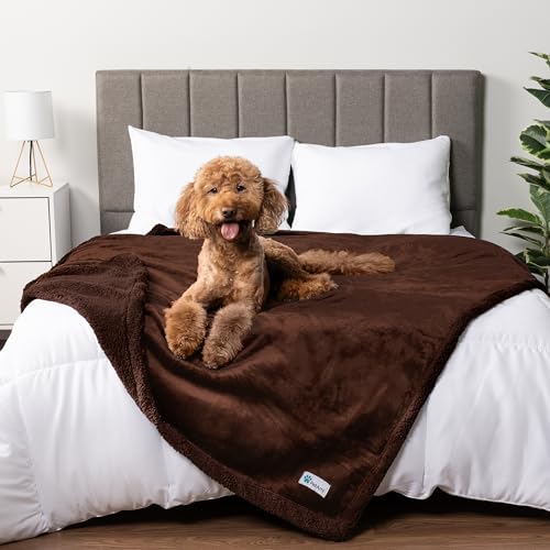 PetAmi Waterproof Dog Blanket for Queen Bed Large XL Dog Throw for Couch Cover Leakproof Furniture Protection, Sherpa Fleece, Reversible Soft Washable 90x90 Brown Brown