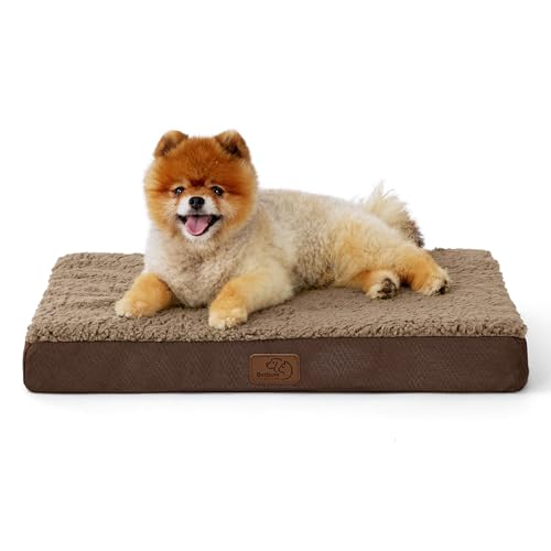Bedsure Small Orthopedic Bed