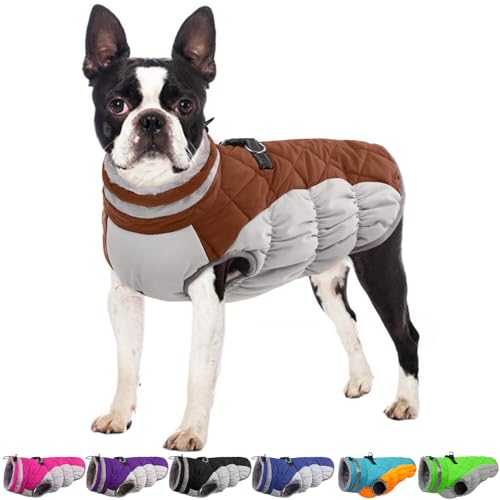 Quilted Insulated vs Fleece-Lined vs Heated Dog Jackets (2026)