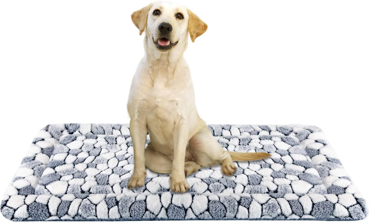 Low vs High Density Memory Foam Dog Beds: Which Is Best for Your Pet? (2026)