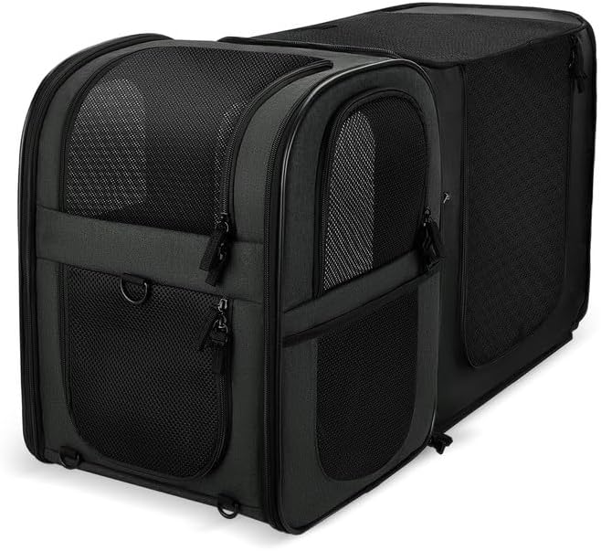 Apollo Walker Expandable (Black)