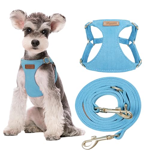 Puppytie No Pull Dog Harness with Multifunction Dog Leash,Soft Adjustable No Choke Escape Proof Pet Harness Vest for Medium Dogs or Large Dogs,Ocean Blue,M