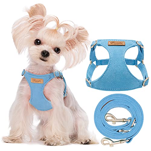 Puppytie No Pull xs Dog Harness with Multifunction Dog Leash,Soft Adjustable No Choke Escape Proof Pet Harness Vest,Ocean Blue,XS
