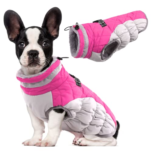 Best Dog Coat & Insulated Vest Combos for Fall Hikes (2026)