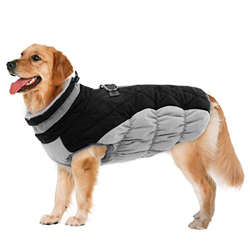 LeLePet Dog Coat (Boxer Black XL)
