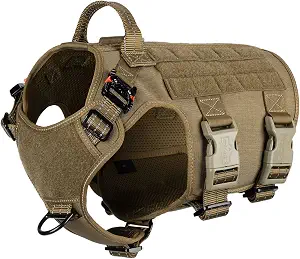 LED Vest vs Reflective Harness vs Glow Band: Visibility Gear for Fall Walks (2026)