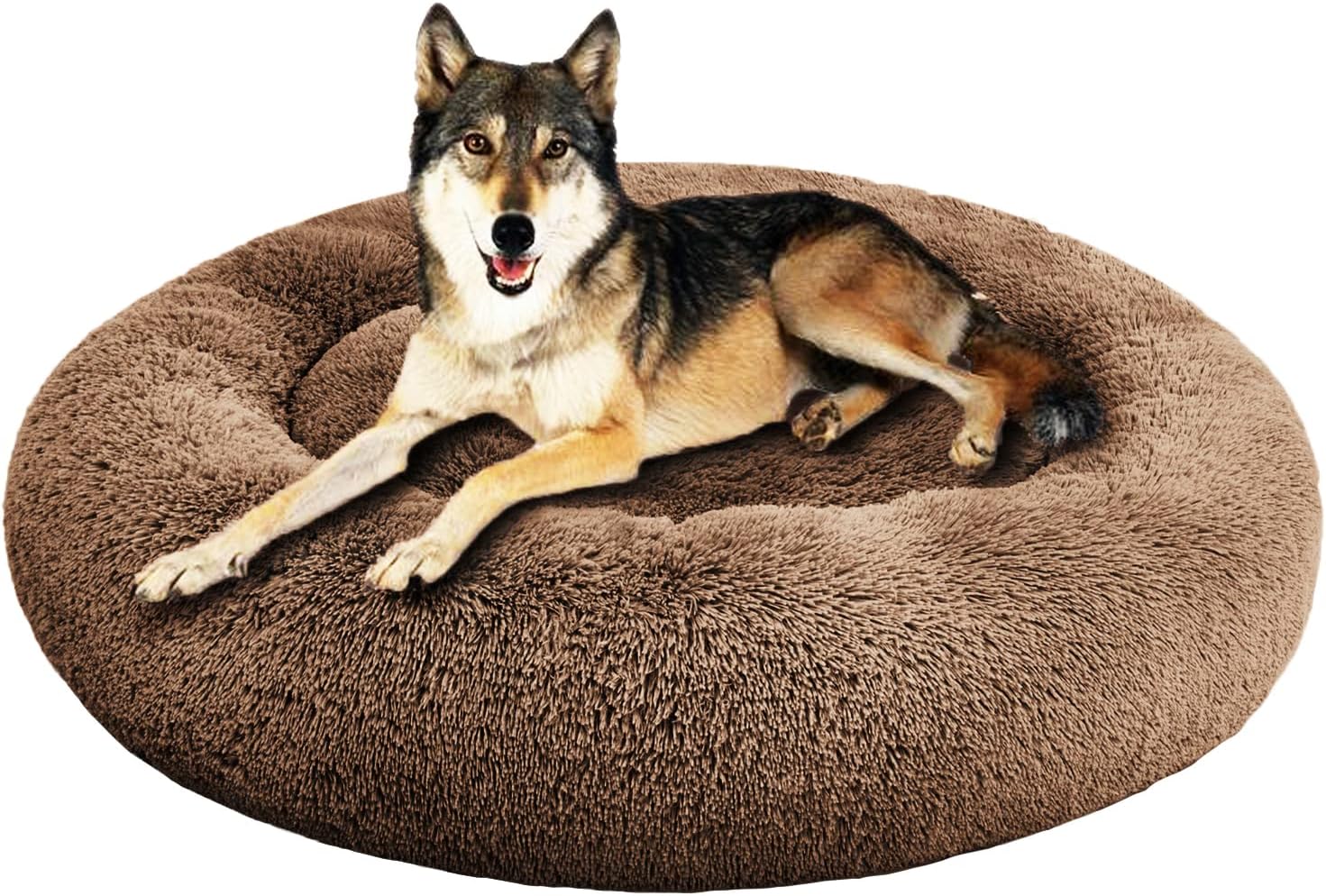 Complete Dog Bed & Furniture Protection Setup During Home Renovation (2026 Guide)