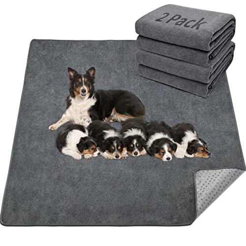 LOOBANI Washable Pee Pad for Dogs, 2 Packs Non-Slip Puppy Training Pads, Fast Absorbent Pet Whelping Pads, Puppy Playpen Mat for Incontinence, Housebreak, Crate, 41x41in, Gray