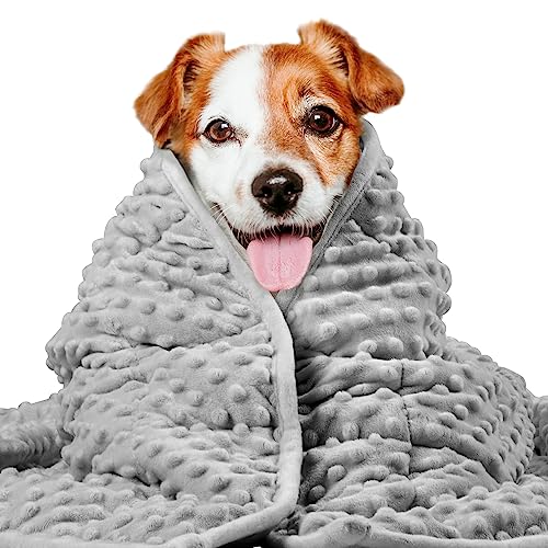 LaSyL Weighted Blanket for Pets (Dark Grey)