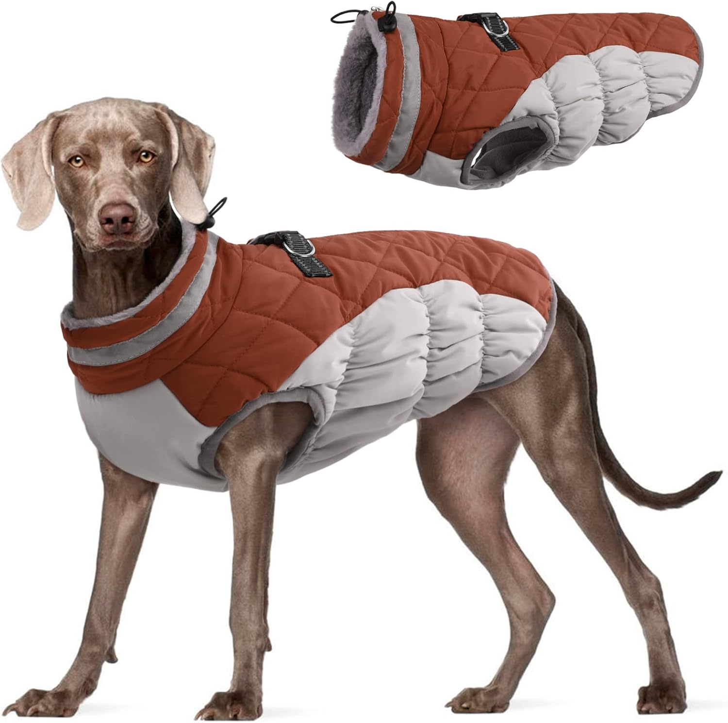 FUAMEY Dog Coat (Large) — Premium Option