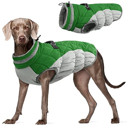 FUAMEY Dog Coat (Green L)