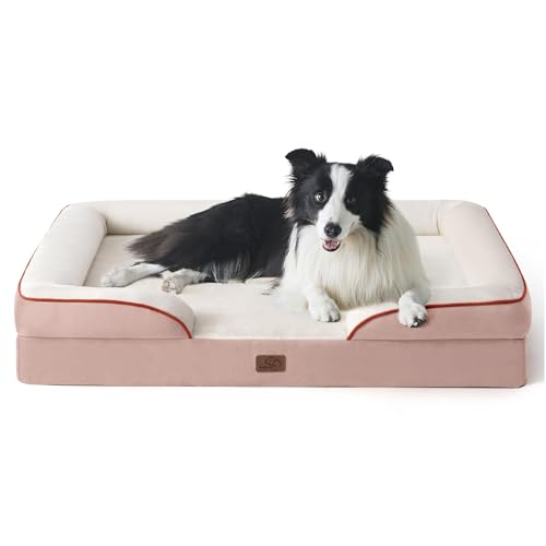 Best Orthopedic Dog Beds for Large Breeds (2026 Picks)