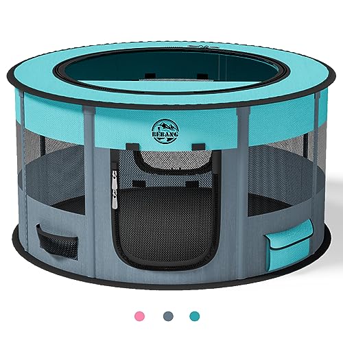 Collapsible Dog Bowls for Mother's Day Gifts (2026 Guide)