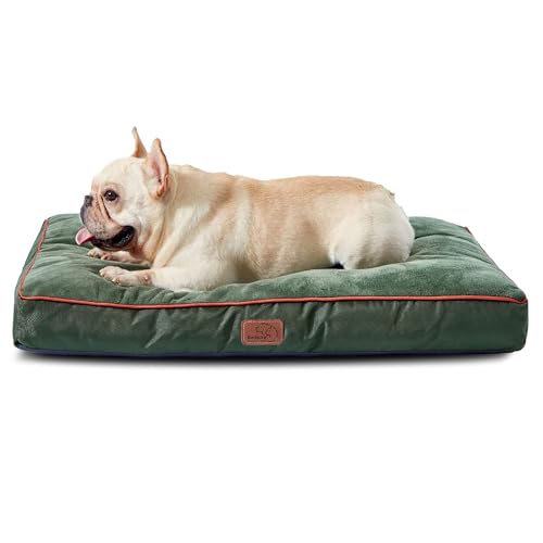 Bedsure Washable Dog Bed (Medium, Green)