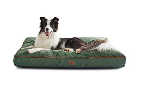Bedsure XL Washable Dog Bed - 3 Inch Thicken Up to 100lbs Pet Mat Pillows with Removable Washable Cover, Green