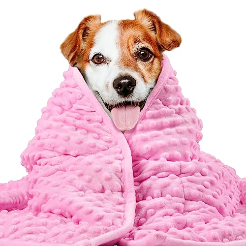 LaSyL Weighted Blanket for Pets | Thunder Blanket for Dogs Anxiety | Premium Soft Minky | Relaxation & Calming & Anti Anxiety | Used in Car, Bed, Couch | Pink, Washable Large 40" L x 47" W