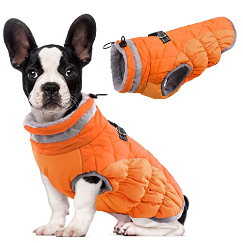 LeLePet Dog Coat (Blaze Orange M)