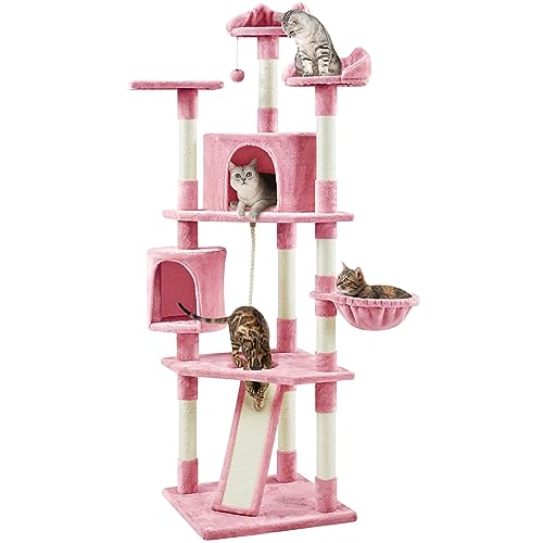 Best Tall Cat Trees for Apartment Cats in Fall (2026)