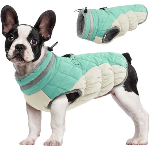 FUAMEY Mint Green Dog Coat