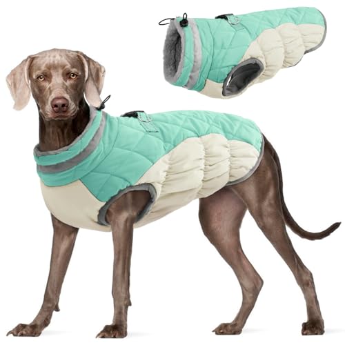 FUAMEY Dog Coat for Large Dogs (Mint Green L)