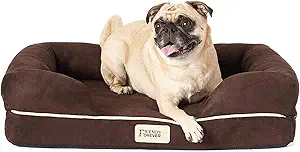 Friends Forever Small Dog Bed