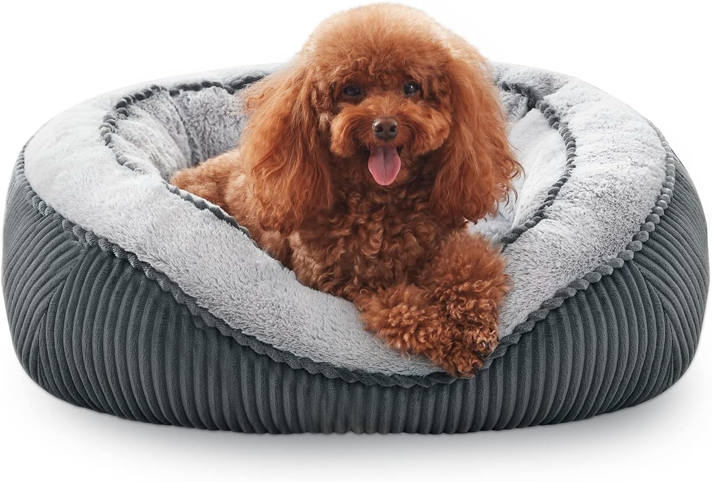 Complete Dog Bed Care Kit: Clean, Deodorize, Protect (2026)