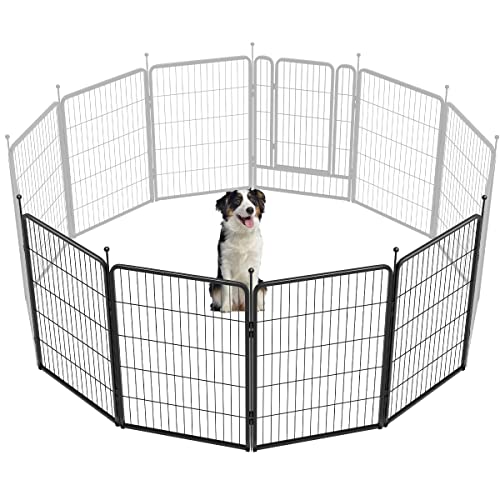 FXW Rollick Unleashed 40in (4-panel)