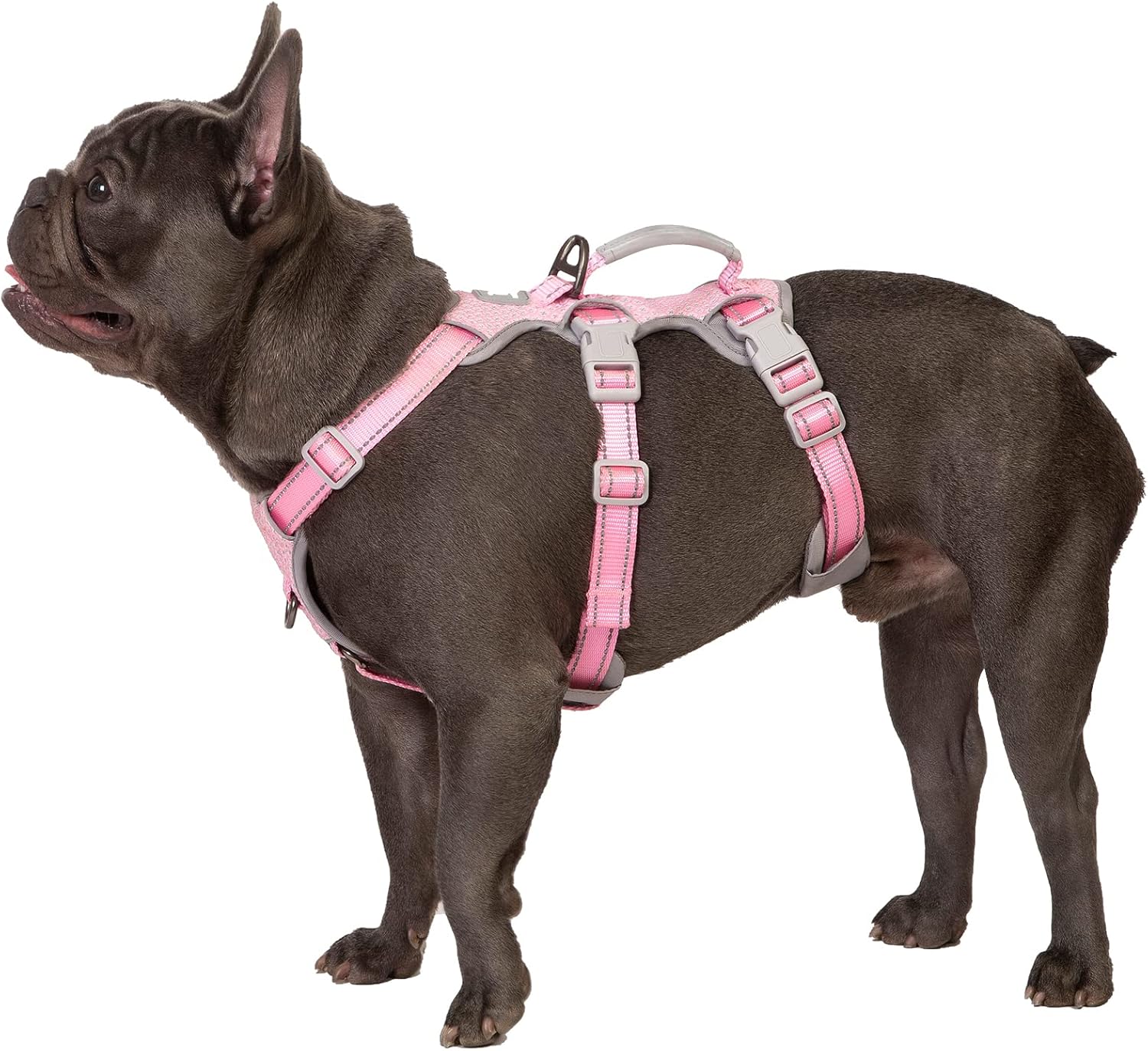 No Escape Dog Harness, Escape Proof Harness, Fully Reflective Harness with Padded Handle, Breathable,Durable, Adjustable Vest for Small Dogs Walking, Training, and Running Gear(Pink,S