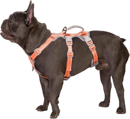 No Escape Dog Harness (Orange)