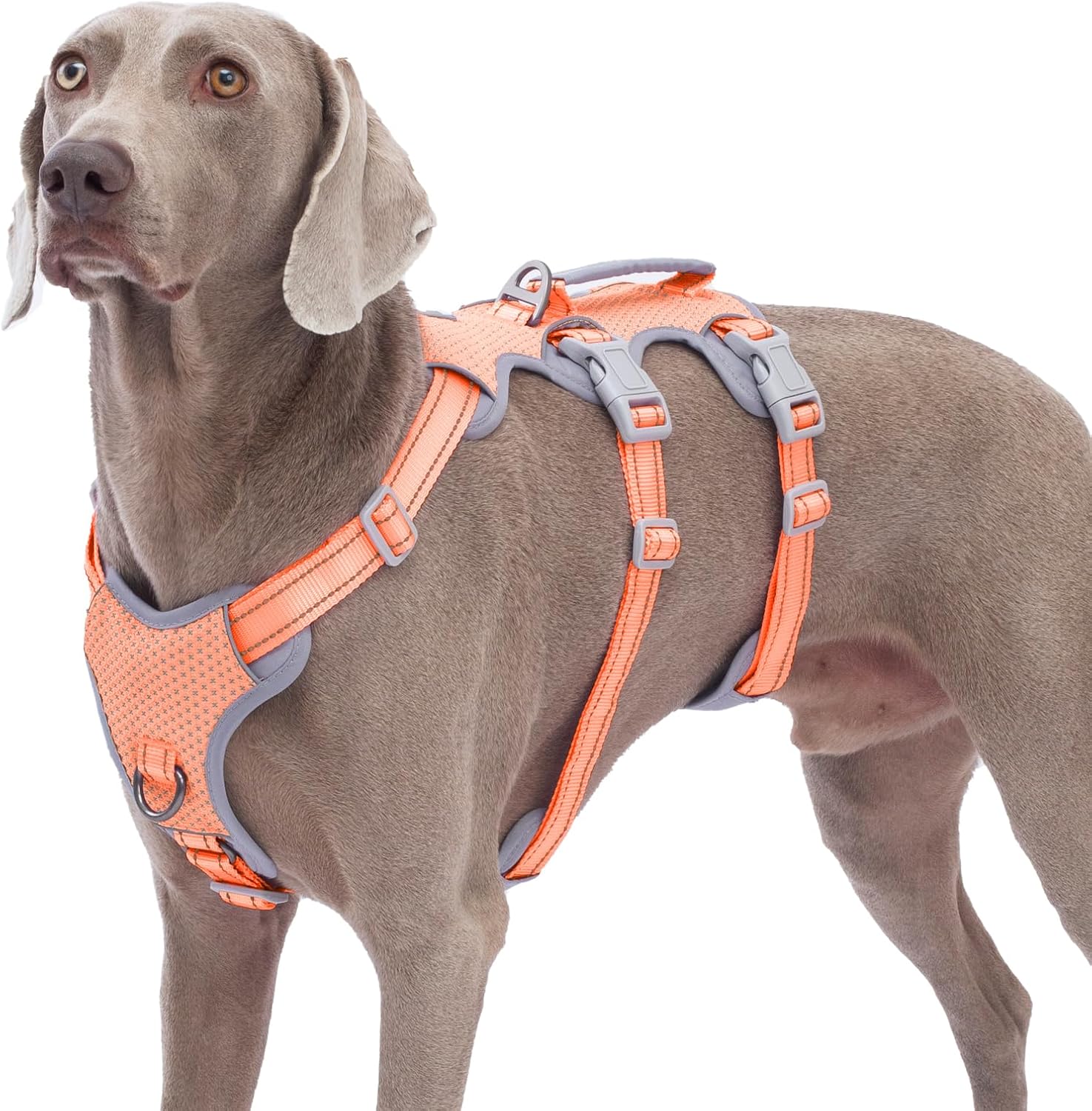 Huntboo Escape Proof Harness (Orange)