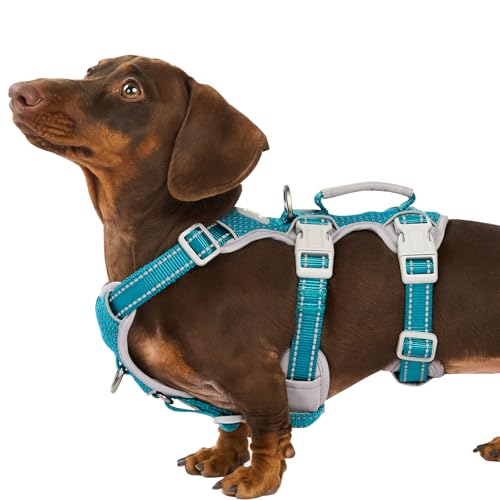 Escape Proof Dog Harness, Escape Artist Harness, Fully Reflective Harness with Padded Handle, Breathable, Durable, Adjustable Vest for Small Dogs Walking, Training, and Running Gear (Teal,S)