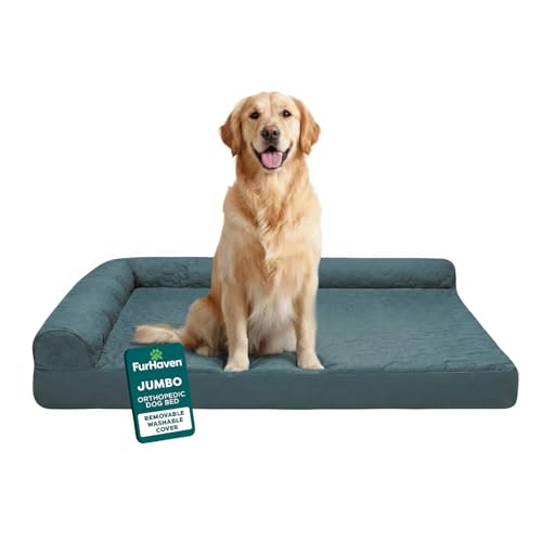 Best Deep-Memory Orthopedic Beds for Large Dogs (2026 Guide)