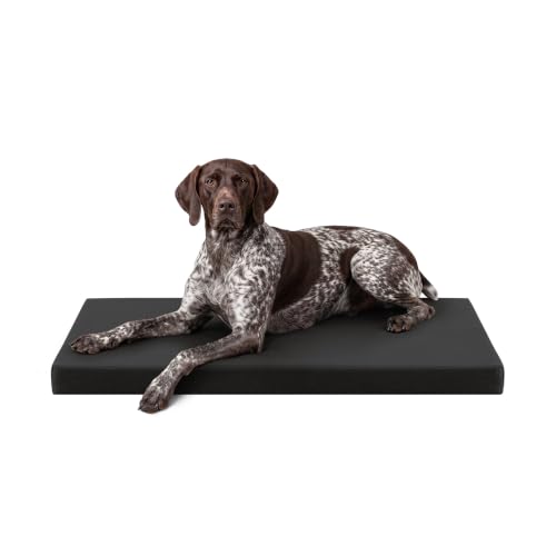 K9 Ballistics Tough Ripstop Orthopedic Crate Bed - Durable Kennel Pad with Washable Cover for Large Dogs, 41 x 27 fits 42 Wire Crate, Obsidian Black