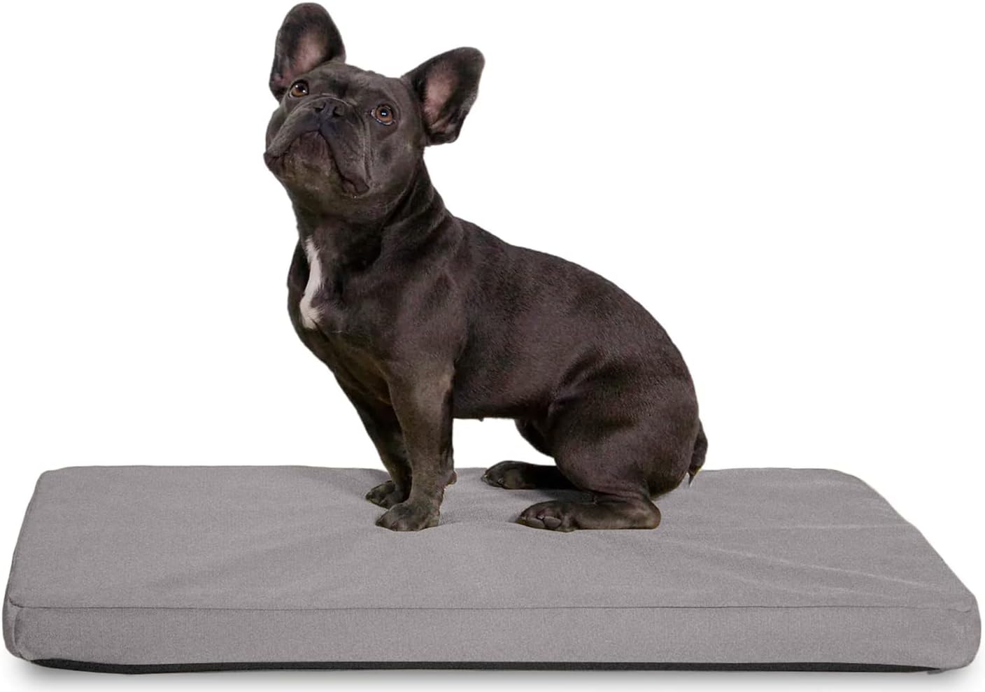 K9 Ballistics Tough Ripstop Orthopedic Crate Bed - Durable Kennel Pad with Washable Cover for Puppies and Small Dogs, 29 x 18 fits 30 Wire Crate, Light Gray Velvet