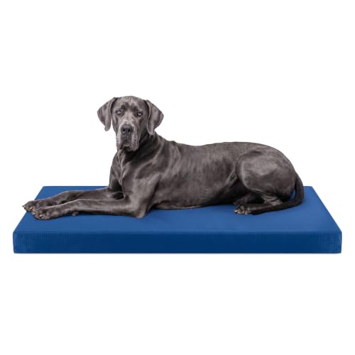 K9 Ballistics Tough Ripstop Orthopedic Crate Bed - Thick, Durable XXL Kennel Pad with Washable Cover for XX Large Dogs, 53 x 36 fits 54 Wire Crate, Blue Quartz