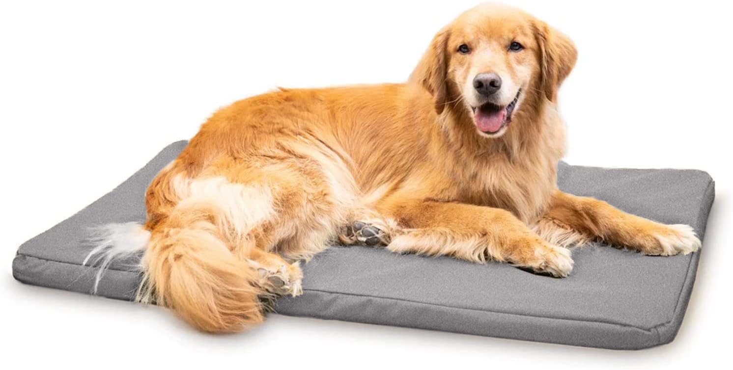 K9 Ballistics Tough 41x27 Bed