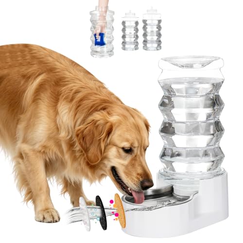 Collapsible Bowl vs Automatic Water Dispenser vs Bottle: Best for Trail Runs (2026)