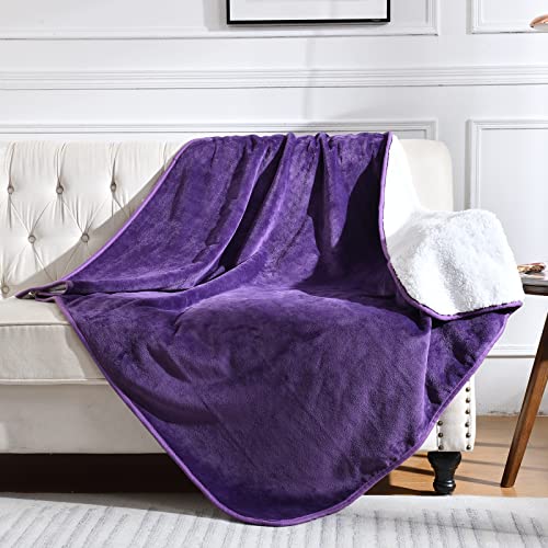 Best Dog Bed Covers & Protectors to Use During Renovations (2026)