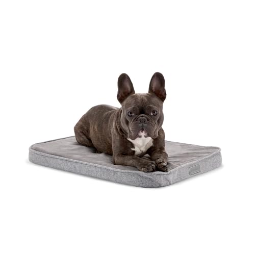 Diggs Snooz Memory Foam Dog Bed