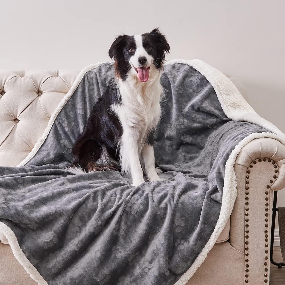 Qeils 60x80 Sherpa Waterproof Blanket