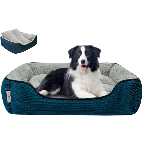Miguel Removable Cushion Bed
