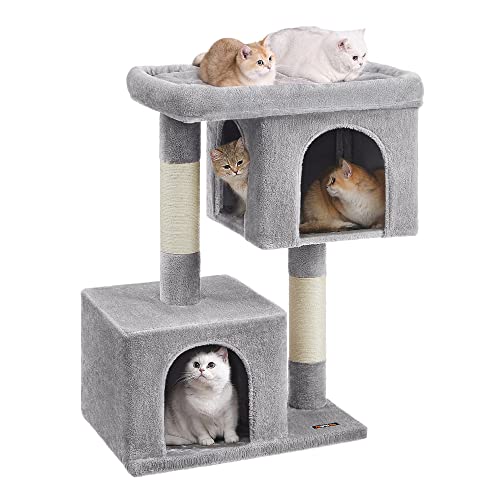 Cat Tunnel vs Cat Condo vs Cat Tree: Best Play & Nap Setup for Energetic Indoor Cats (2026)