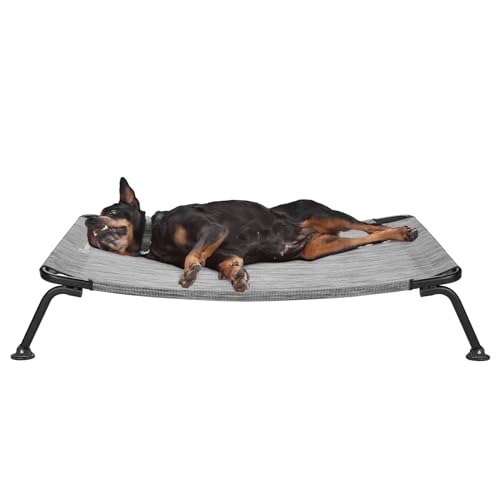 Best Portable Elevated Dog Beds for RV Travelers (2026)