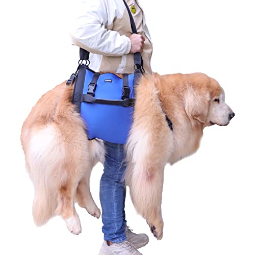 Kokoie Dog Lift Harness (Blue, XL)