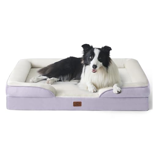 Best Orthopedic Dog Beds for Senior Dogs (2026 Guide)