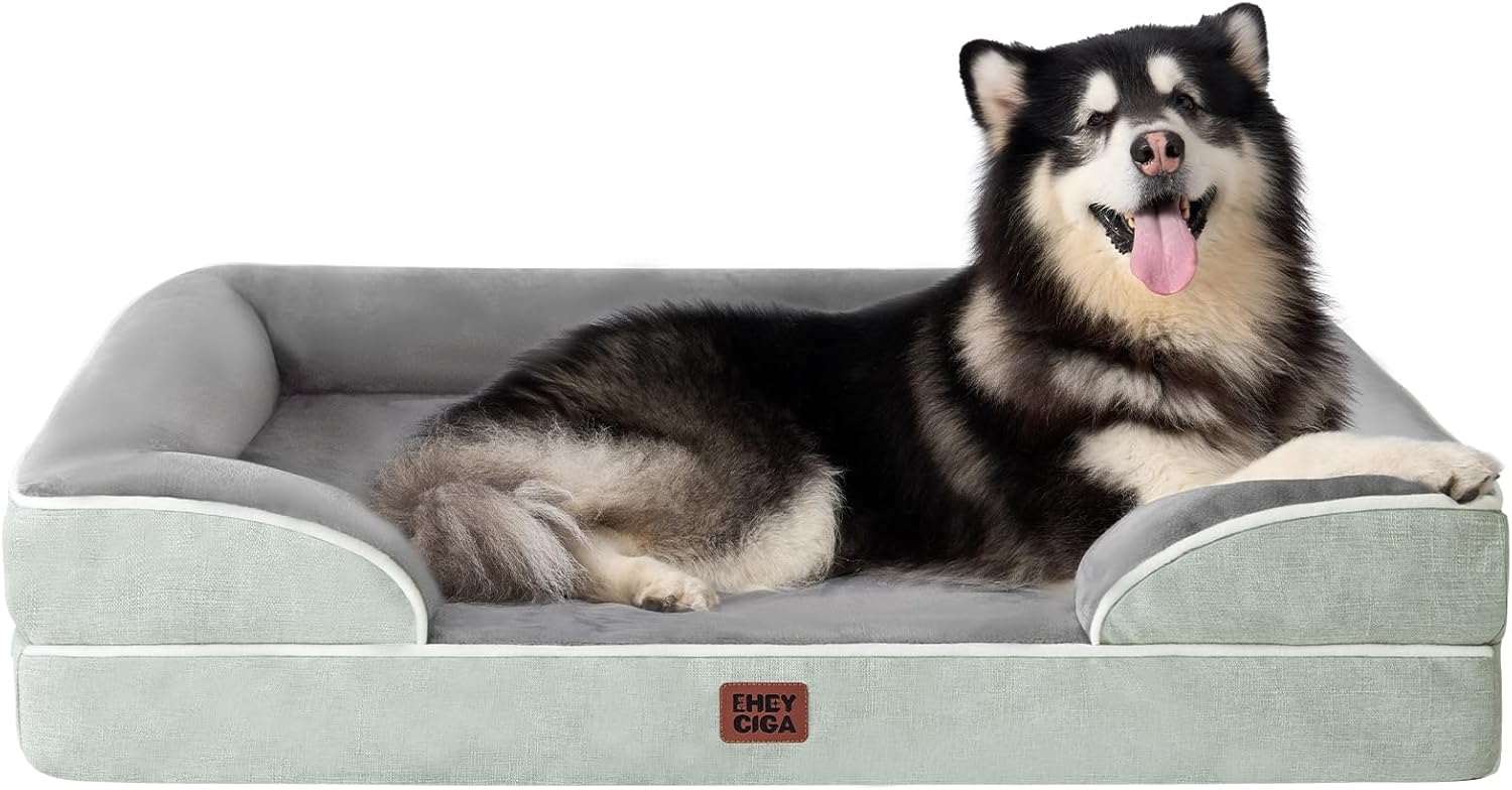 Best Dog Beds for Small Apartments and Sofas (2026 Guide)