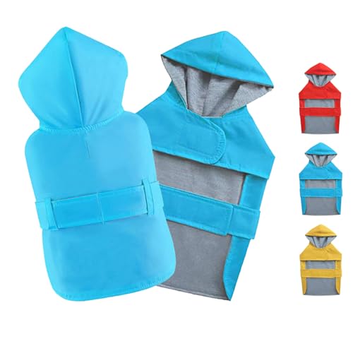 How to Keep Short-Coated Dogs Warm Without Overheating Indoors (2026)