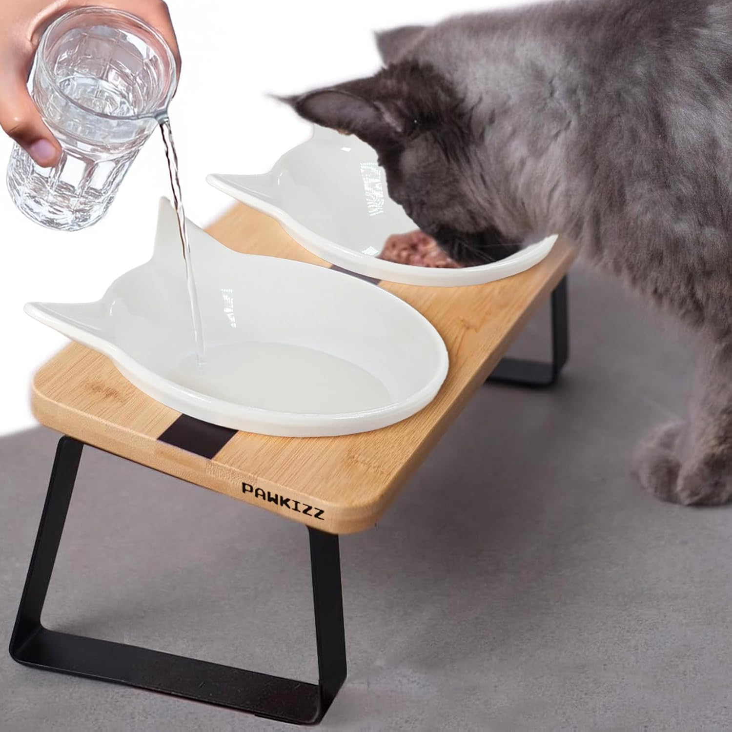pawkizz Elevated Stand
