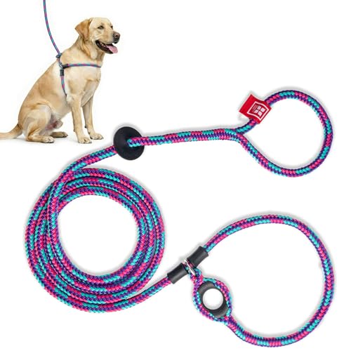 Harness Lead No Pull (Reef)