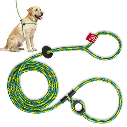 Harness Lead No Pull Dog Harness and Leash Set, Anti Pull Dog Harness, One-Piece Cushioned Rope Safely Prevents Escaping and Pulling *New Insert is Removable (Medium/Large, Rainforest)